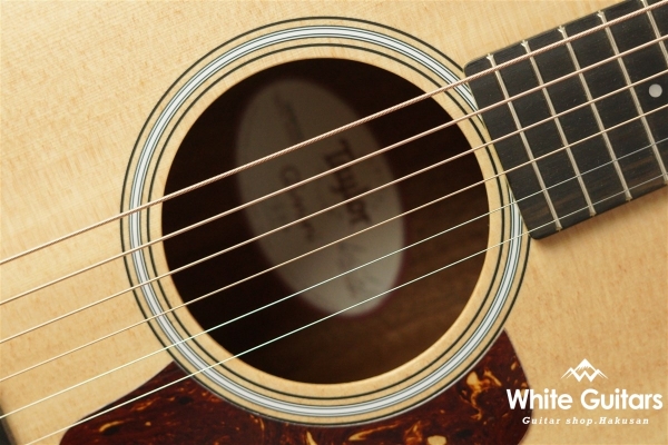 GS Mini-e Rosewood